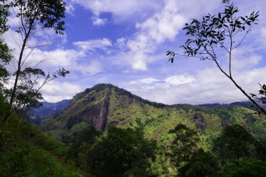 Küçük Adam 's Peak yürüyüşü Ella ve çevresindeki dağların inanılmaz panoramik görüntülerine ulaşmanın en kolay yollarından birini sunuyor..