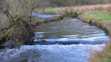 Milldale 'in güzel köyü Dovedale Vadisi' nin kuzey ucunda, White Peaks 'te, Derbyshire, İngiltere' de..