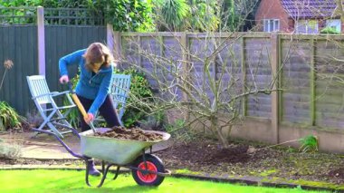 Çekici bir kadını İngiliz kır bahçesinde meyve ağaçlarını biçerken yakalıyor ve baharın başlangıcını yakalıyor..
