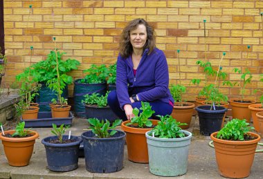 Çekici bir esmer yakalamak, saksıda poz vermek tomotolar, kabaklar ve yıldız çiçekleri.