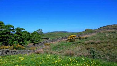 Skipton, İngiltere 'nin Kuzey Yorkshire şehrinde, Draughton Heights' tan görülebilen yepyeni konutları olan popüler ve genişleyen bir şehirdir..