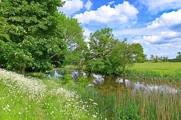 Lyveden, Northamptonshire 'da cennet gibi bir çayır sağlıyor..