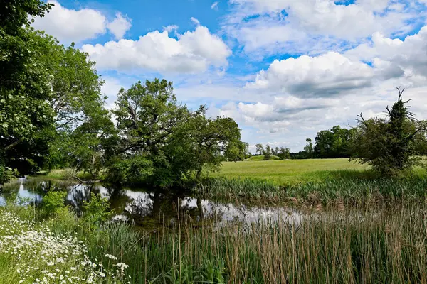 Lyveden, Northamptonshire 'da cennet gibi bir çayır sağlıyor..