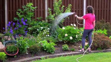 Çağdaş giysiler içindeki çekici bir bayanı yakalamak, yaz çiçeklerini sulamak..