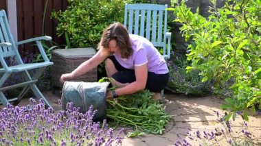 Yeni patatesler bir bez torba içinde yetiştirilebilir, ya da çuval içinde ve yaz başında hasat edilebilir..