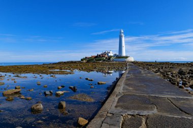 St Mary Deniz Feneri, İngiltere 'nin kuzeydoğusundaki Whitley Körfezi yakınlarındaki küçük bir adada kullanılmayan bir deniz feneridir..