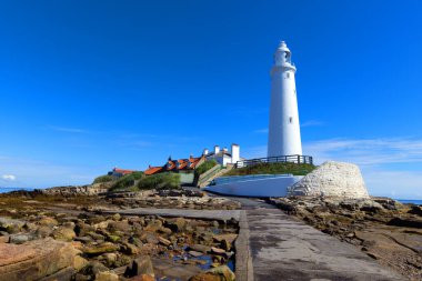 St Mary Deniz Feneri, İngiltere 'nin kuzeydoğusundaki Whitley Körfezi yakınlarındaki küçük bir adada kullanılmayan bir deniz feneridir..
