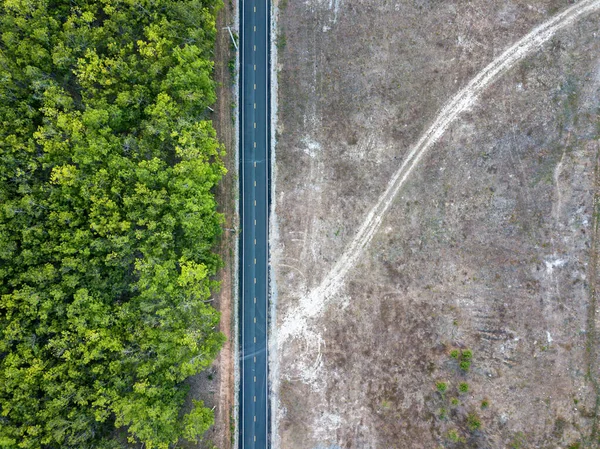 Road aerial of top view. top view of rubber plantation  road. Top view street road during sunset.