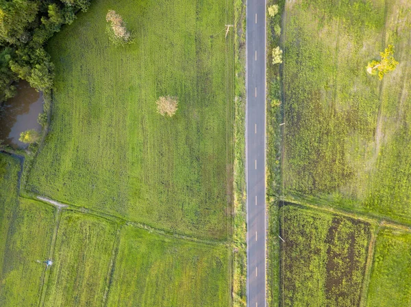 Road aerial of top view. top view of rice farm road. Top view street road during sunset.