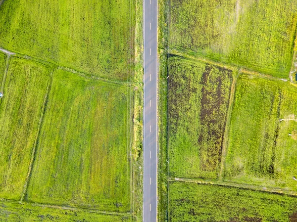 Road aerial of top view. top view of rice farm road. Top view street road during sunset.
