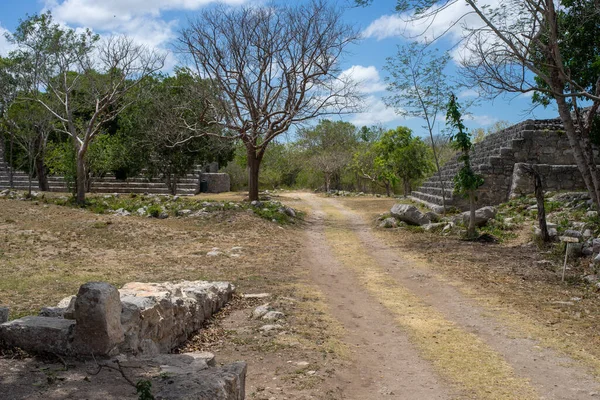 Dzibilchaltun Mayan Archaesite Merida Yucatan Mexico — 스톡 사진