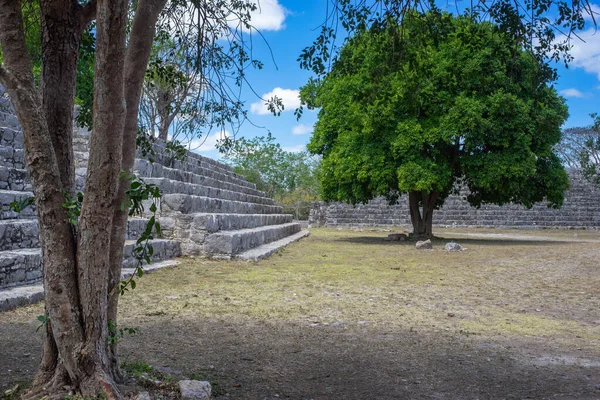 Dzibilchaltun Mayan Archeologiczne Pobliżu Merida Jukatan Meksyk — Zdjęcie stockowe