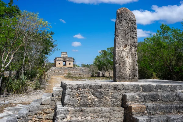 Dzibilchaltun Mayan Archaesite Merida Yucatan Mexico — 스톡 사진