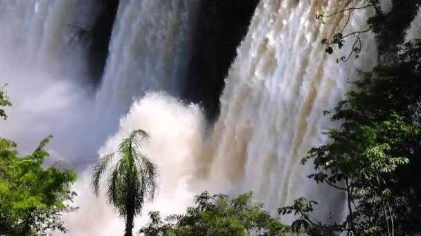 Argentina Popular Destino Turístico Iguazú Parque Nacional Cascadas Paisajes Escénicos — Vídeo de stock