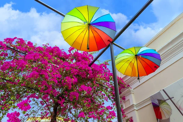 Dominikanische Republik Bunte Koloniale Regenschirm Straße Puerto Plata — Stockfoto