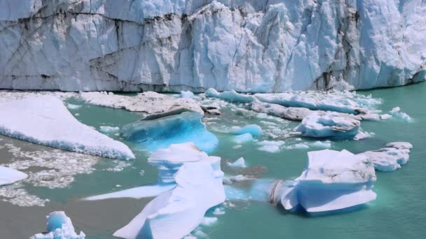 Argentina Patagonia Calefate Perito Moreno Glacier Glaciers National Park Los — Stock Video