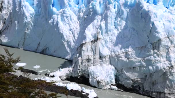 Аргентина Патагония Ледник Calefate Perito Moreno Национальном Парке Ледников Los — стоковое видео