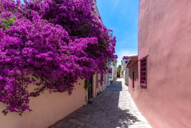 Yunanistan, Atina 'nın tarihi Plaka ve Anafiotika semtleri ve Akropolis yakınlarındaki restoranları.