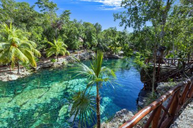 Tulum ve Playa Del Carmen yakınlarındaki Cenote Casa Tortuga 'nın turizm merkezi, mağaraları ve havuzları.