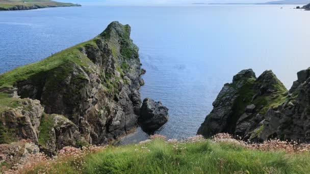 Ngiltere Kayalıkları Okyanus Manzarası Yeşil Otlakları Olan Skoçya Shetland Manzarası — Stok video
