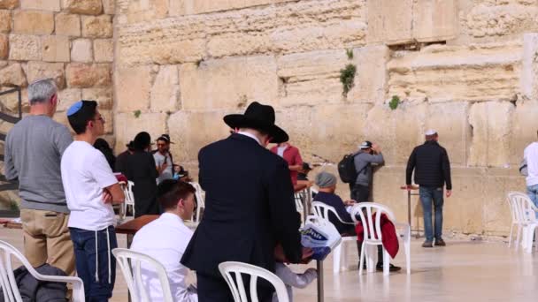 エルサレム イスラエル 2023 エルサレム旧市街ユダヤ教寺院で神聖な西壁の前で祈る正統派ユダヤ人 — ストック動画