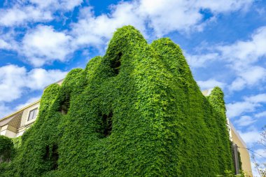 Barrio Lastarria Santiago de Şili 'nin tarihi merkezinde.
