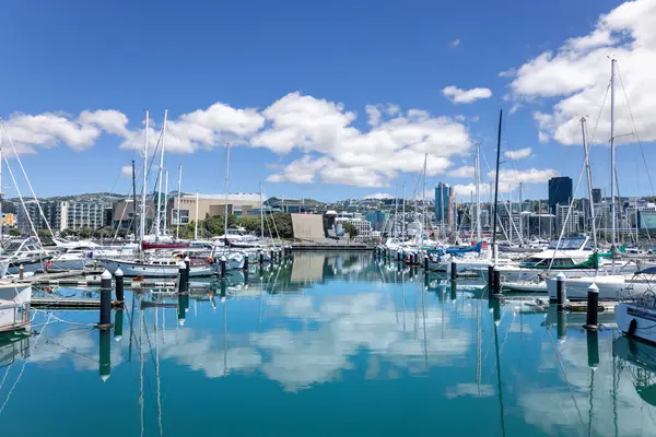 Skyline Panorámico Wellington Centro Puerto Deportivo Lambton Nueva Zelanda Fotos de stock libres de derechos