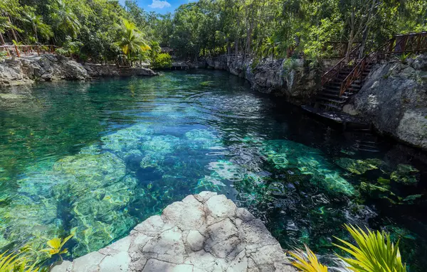 Destino Turístico México Cuevas Piscinas Cenote Casa Tortuga Cerca Tulum Imagen de archivo