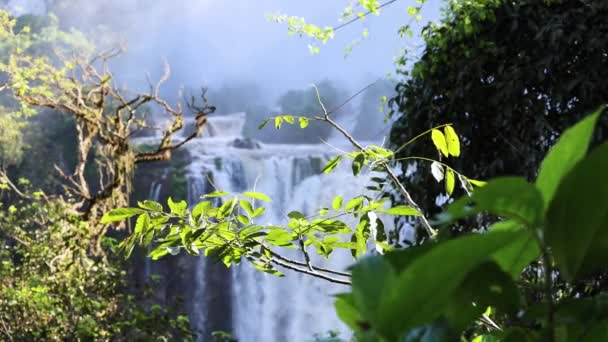 Argentina Popular Tourism Destination Iguazu National Waterfall Park Scenic Landscapes — Stock Video