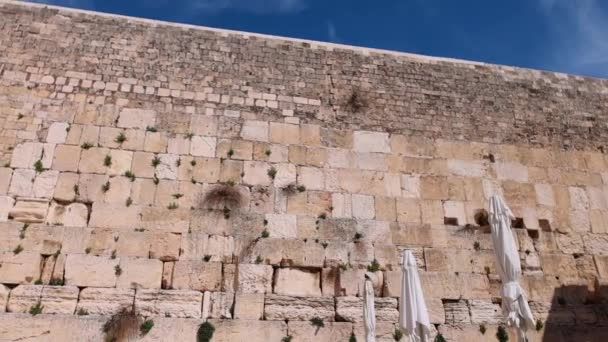 Posvátná Západní Zeď Kotel Jeruzalémě Staré Město Známé Jako Zeď — Stock video