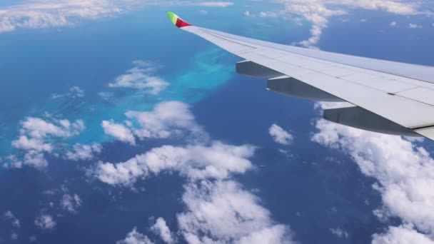 Gép Magasan Repül Tiszta Kék Óceán Vize Felett Karib Tengeri — Stock videók