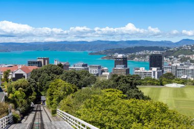 Wellington şehir merkezi limanı ve Yeni Zelanda 'daki finans merkezinin manzaralı panoramik silüeti.