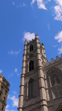 Old Port yakınlarındaki eski Montreal tarihi kasabasında dArmes Meydanı ve Notre-Dame Bazilikası.