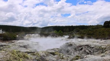 Tauranga, Yeni Zelanda 'daki Hells Gate Jeotermal Park Rezervi ve Mud Spa.