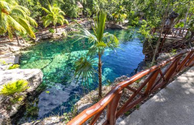 Meksika, deniz altı mağaraları Cenote Casa Tortuga Tulum yakınlarında, ünlü turizm merkezi..