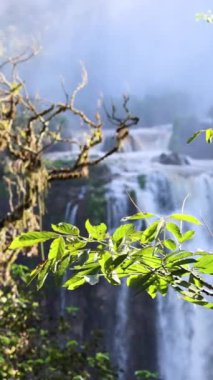 Arjantin, Iguazu Ulusal Şelale Parkı manzaralarının popüler turizm beldesi