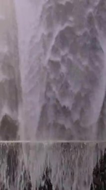 Mazatlan Akvaryumu, Gran Aquario de Mazatlan, Meksika 'nın en büyüğü. Deniz ve kıyı vahşi yaşamı