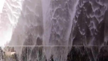 Mazatlan Akvaryumu, Gran Aquario de Mazatlan, Meksika 'nın en büyüğü. Deniz ve sahil yaban hayatı