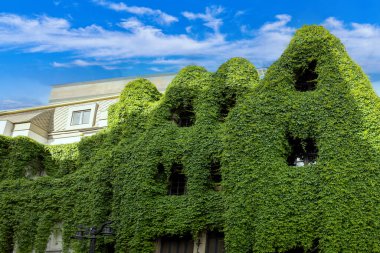 Barrio Lastarria ve Santiago de Chile 'in tarihi merkezinde tarihi mimari.