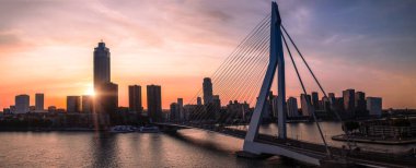 Rotterdam 'daki Erasmus Erasmusbrug köprüsünün panoramik görüntüsü. Finans sektörü ufuk çizgisi.