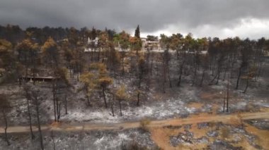 Yanmış Topraklar 'ın ortasındaki evler ve Vahşi Yangından Sonra Yanmış Ağaçlar. Yunanistan 'ın Kırsal Bölgesindeki Felaket Sonrası Hava Görüntüsü, İHA' nın 4k