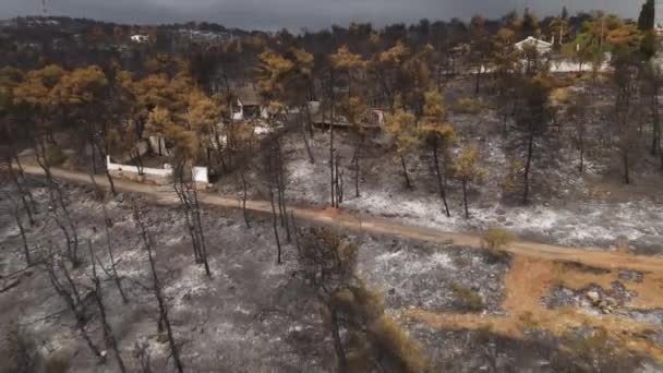 希腊山区燃烧的林地和房子下的烧焦的树 无人机空中景观 — 图库视频影像