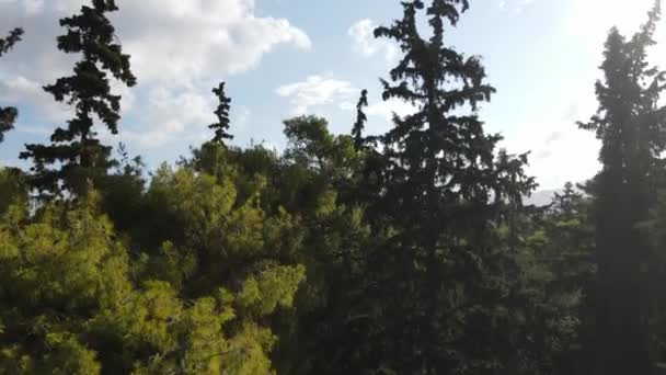 Acrópole Atenas Grécia Revelando Vista Aérea Drone Das Árvores Parque — Vídeo de Stock