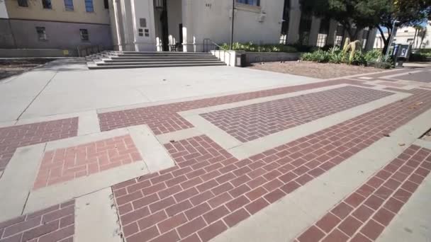 Pasadena City Hall Civic Center District American California Flags Pole — Stock Video