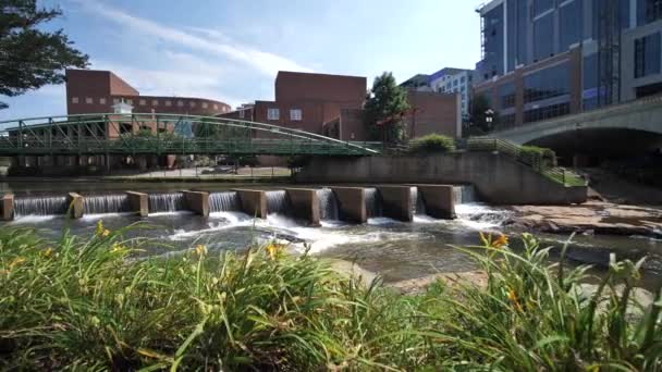 Greenville City South Carolina Usa Reedy River Downtown Buildings Sunny — Stok Video