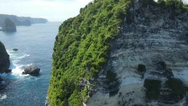 Ripide Rocce Calcaree Boschive Nell Oceano Indiano Isola Nusa Penida — Video Stock