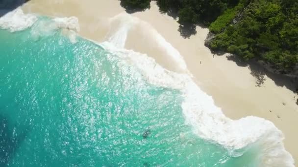 Stranden Tropical Island Flygfoto Över Tomma Dolda Lagunen Green Forested — Stockvideo