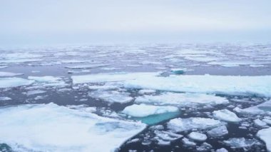 Kırık Buz Parçaları, Kuzey Kutup Denizi 'nden Soğuk Sisli Gün 4k