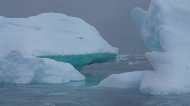 Antarktika kıyıları Karlı bir günde, Buz dağları soğuk okyanus suyunda, kar yağışı ve sis 4k