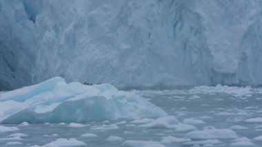 Soğuk Okyanus Suyunda Buzdağları ve Buzdağları Arasındaki Buzul Altında Gezen Turistik Tekne 4. Gün